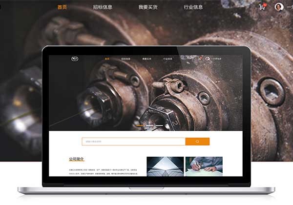 河南郑州品牌网站建设公司案例展示图标