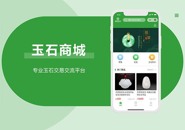 APP软件开发案例图